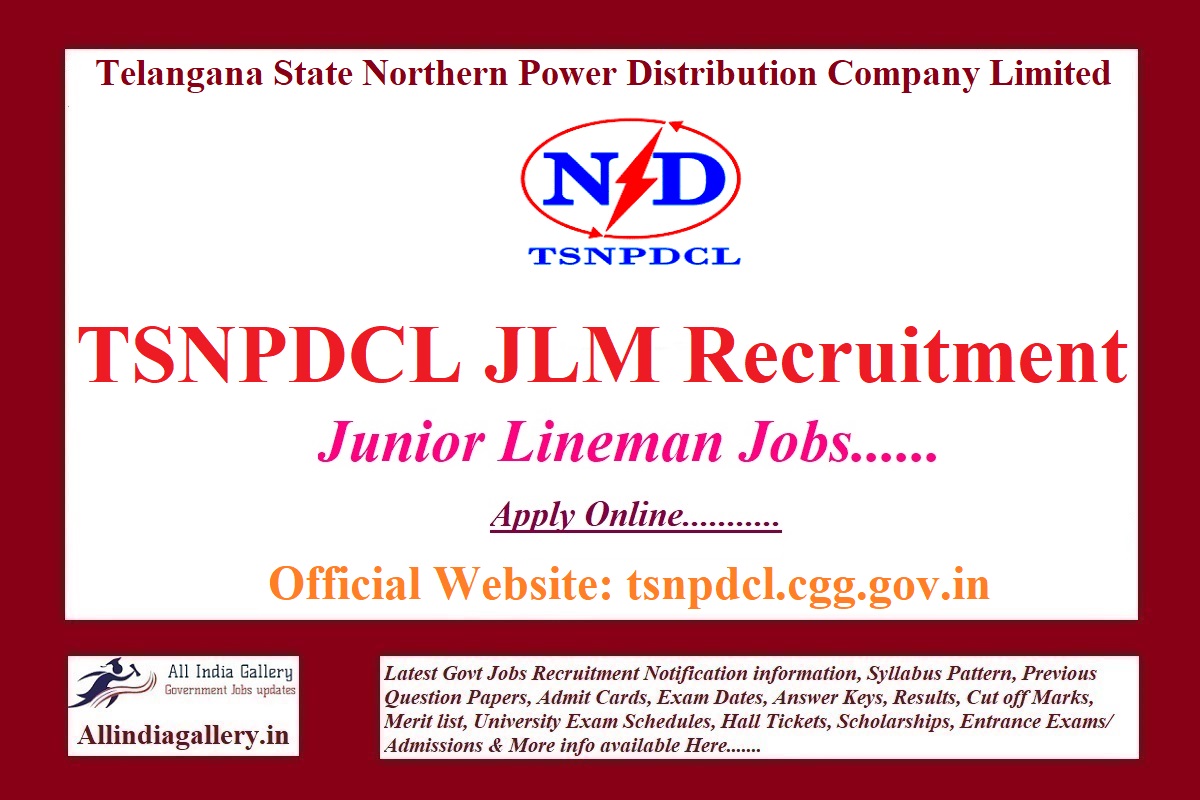 TSNPDCL JLM Recruitment Notification