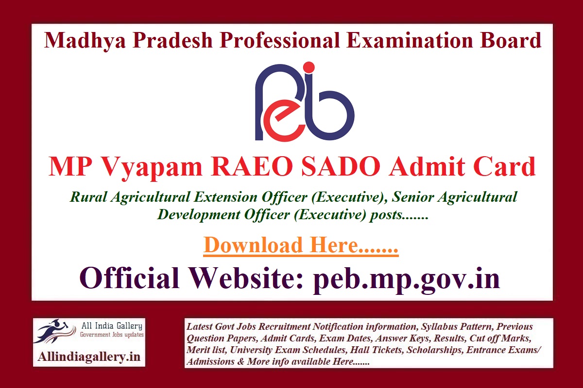 MP Vyapam RAEO SADO Admit Card