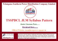 TSSPDCL JLM Syllabus Pattern