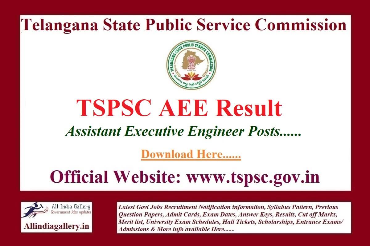 TSPSC AEE Result
